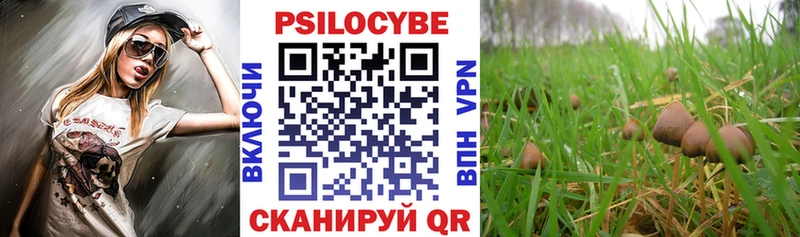 ссылка на мегу ССЫЛКА  Кашира  Псилоцибиновые грибы прущие грибы 